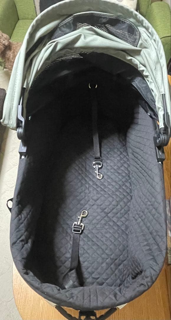 【コット単品】エアバギー　ドーム3ラージサイズ　フォレストモスDOME3＋カバー