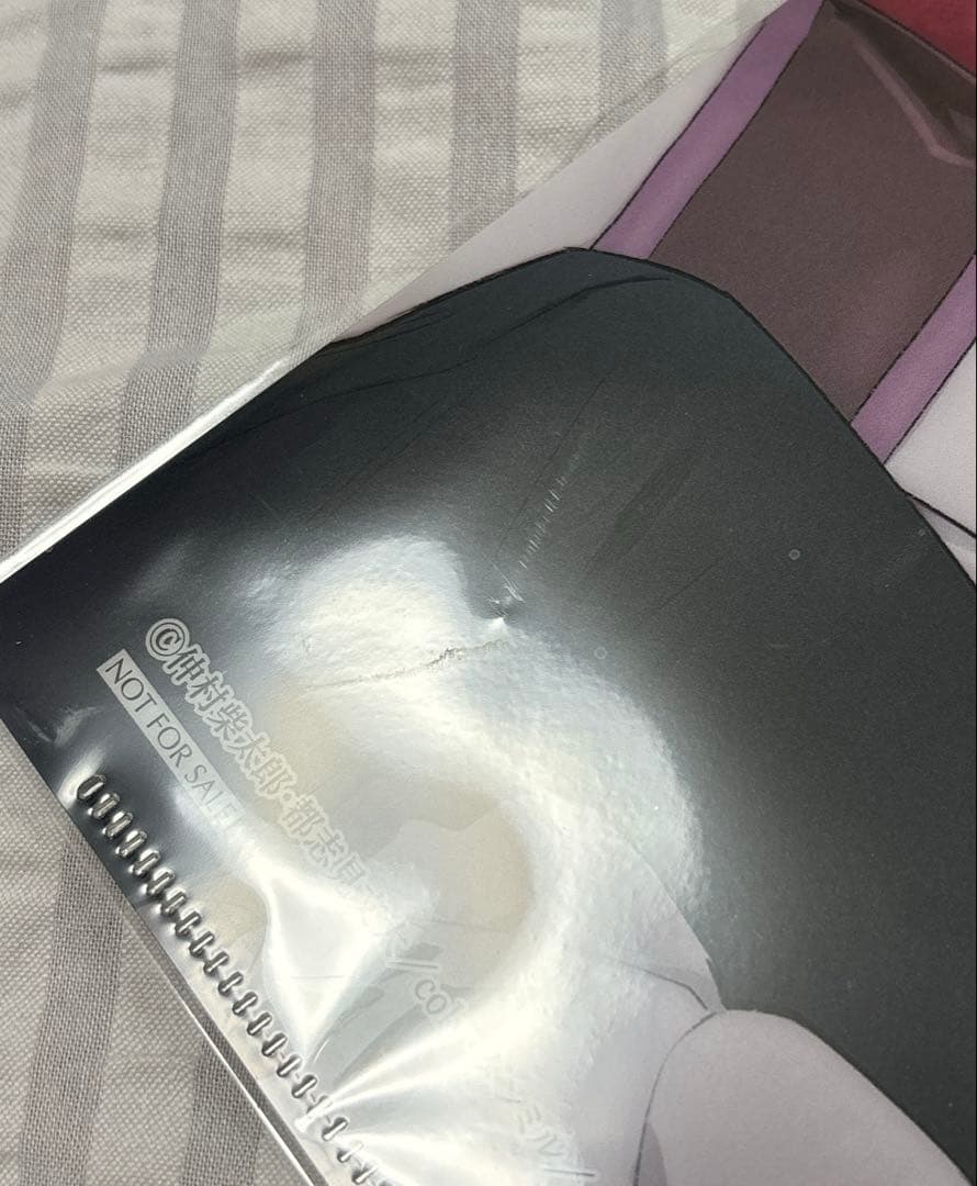 魔法使いの約束 まほやく ゼロサム 3月号 ブラッドリー ネロ クリアファイル