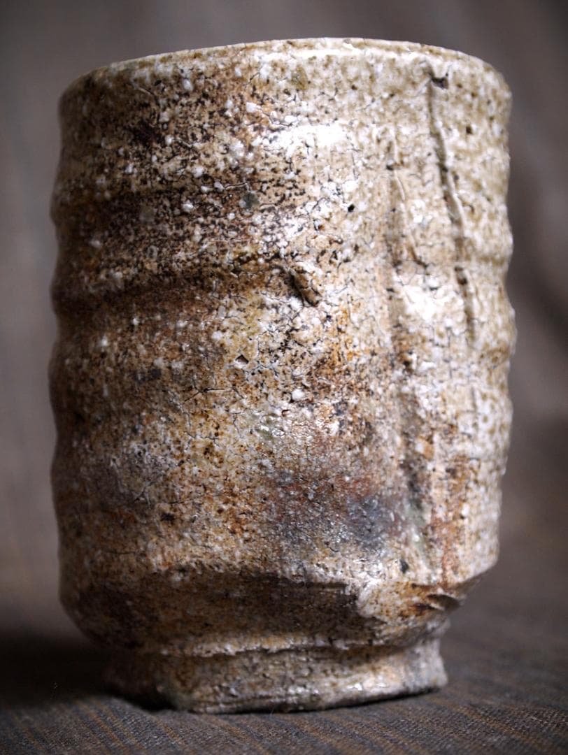 人気作家★谷本貴【師：師：森正・谷本景】伊賀(窯変）湯のみA★共箱 匿