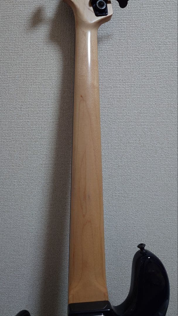 FREEDOM CUSTOM GUITAR RESEARCH 5弦ジャズベース