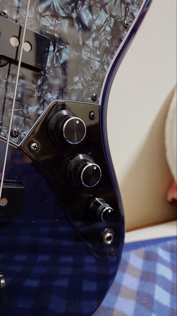 FREEDOM CUSTOM GUITAR RESEARCH 5弦ジャズベース