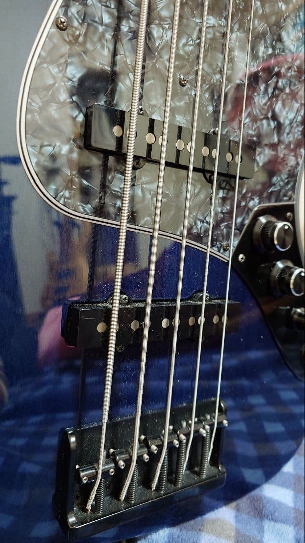 FREEDOM CUSTOM GUITAR RESEARCH 5弦ジャズベース