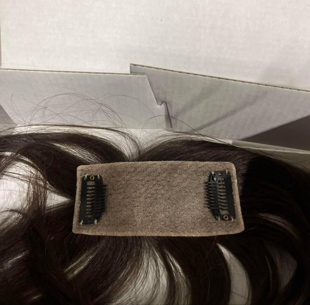 Ginka Winka ギンカ ウィンカ ウィッグ