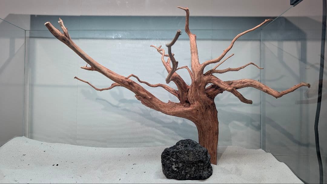 スマトラブランチウッド【SBC132】アクアリウム 水槽 流木 まとめ買い対応