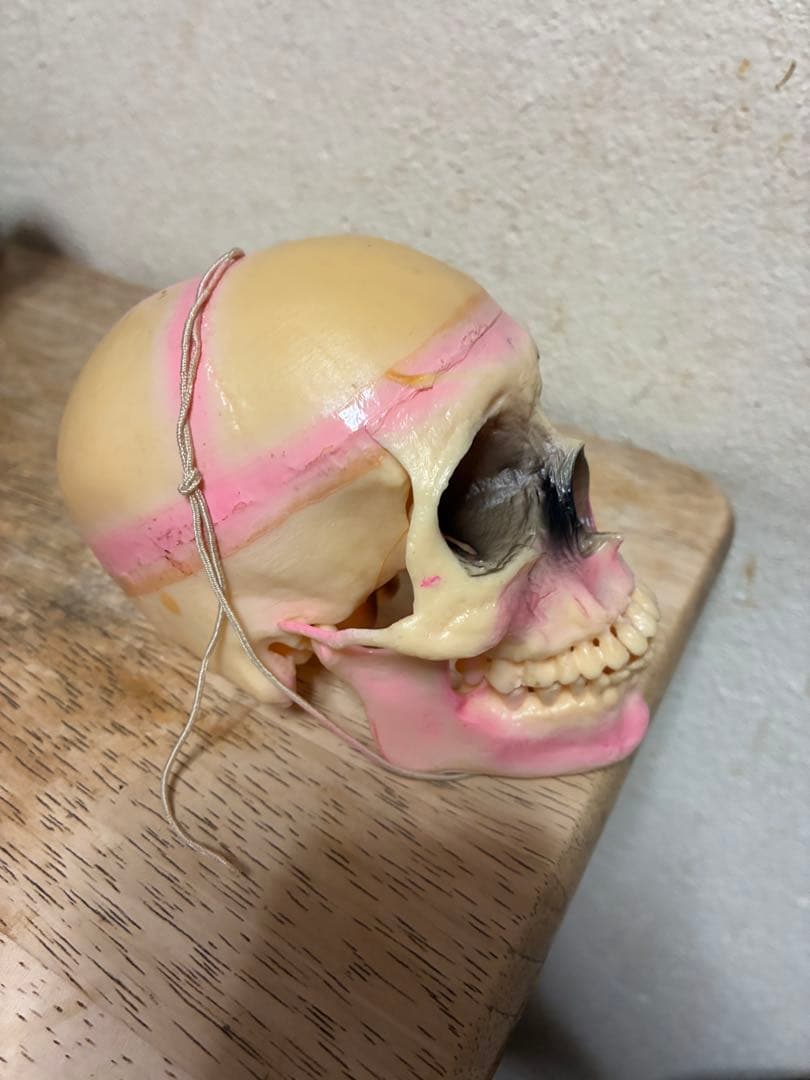 ビンテージ 60s スカル　髑髏　骸骨　死神　ハロウィン　ホラー　レトロ