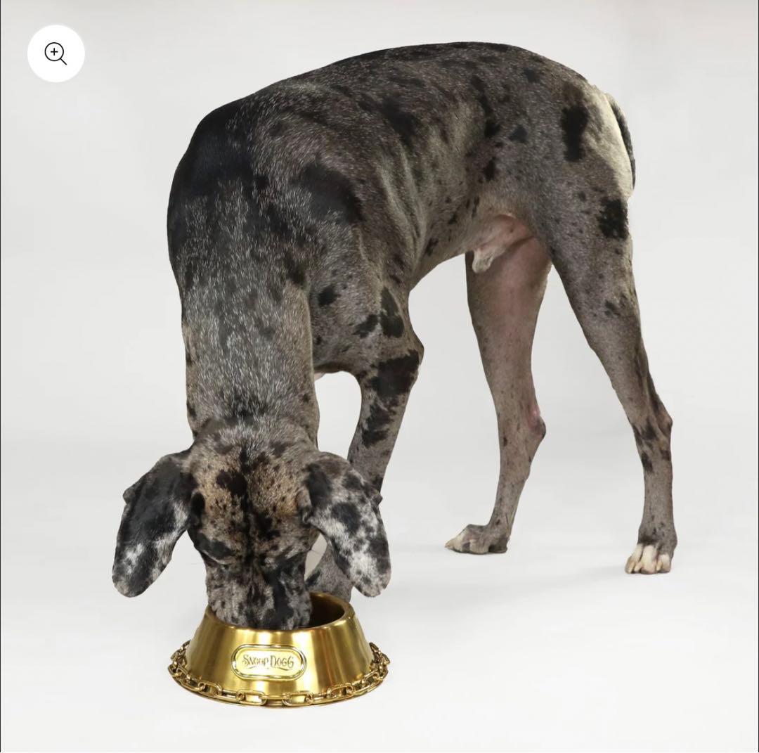 スヌープドッグ　お皿　フードボール　金色　Lサイズ　カッコイイ　犬　コラボ