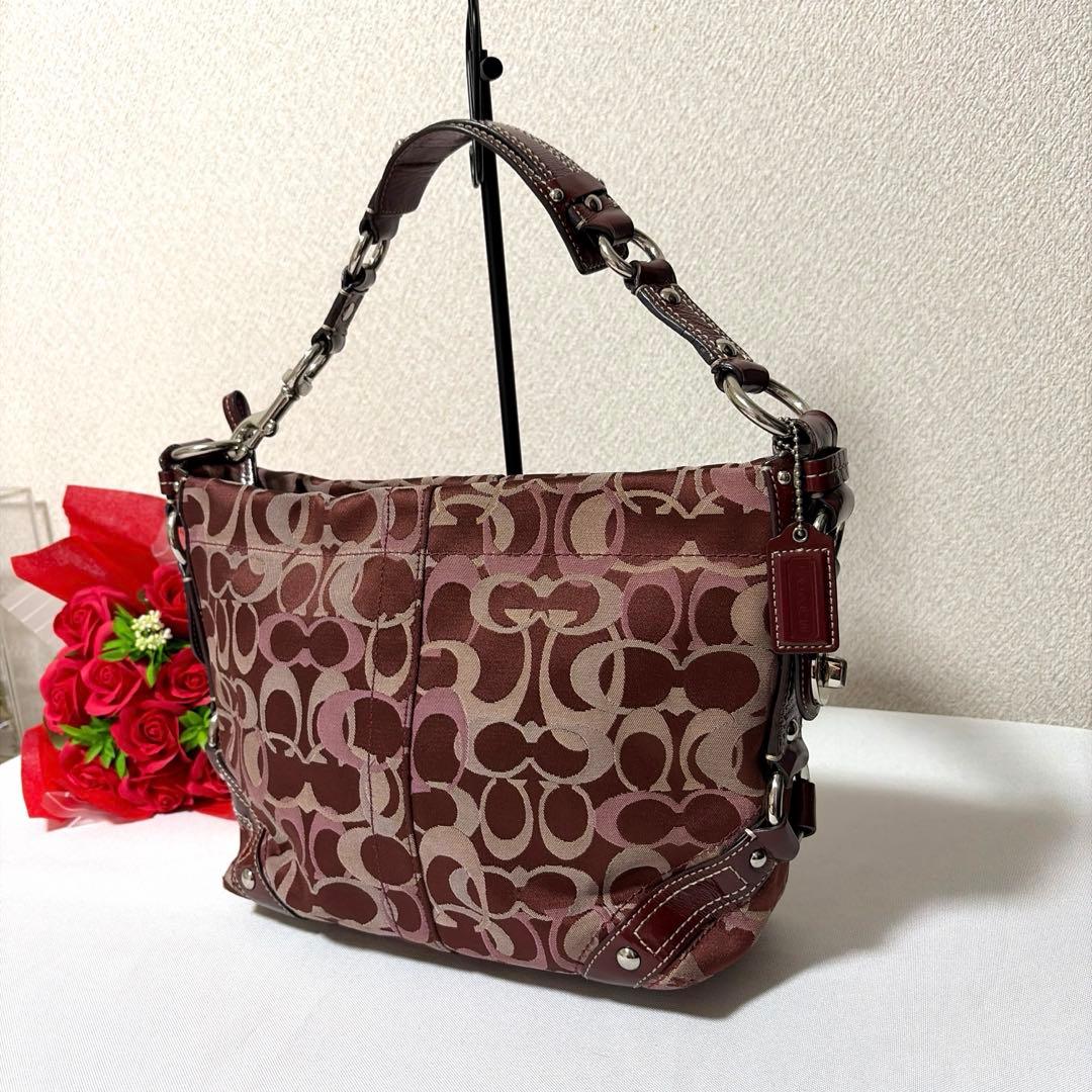 COACH curly 13980 red×pink signature BAG