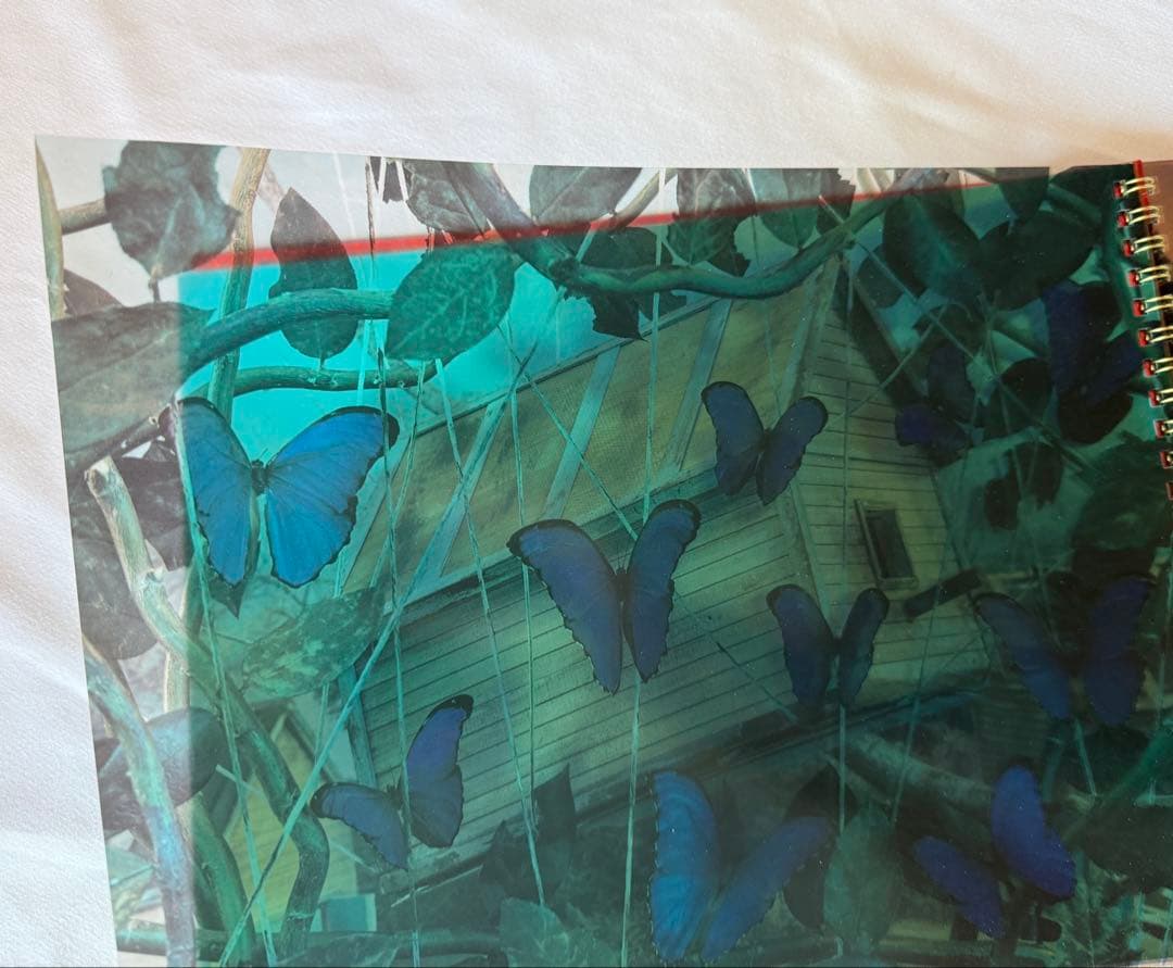 稀少DM COMME des GARCONS×Gregory Crewdson