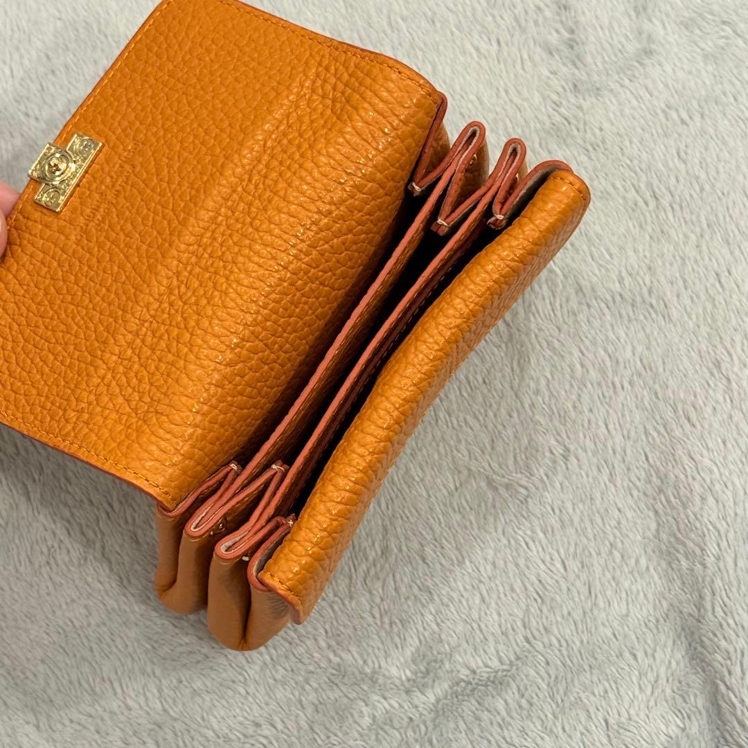 ⭐️新品未使用⭐️　IACUCCI イアクッチ　アバ ウォレット CERVO 折財布