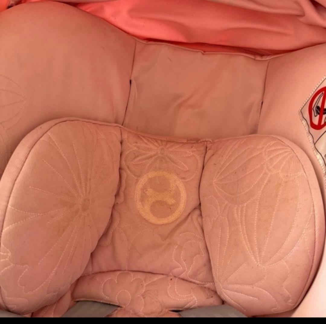 クラウド Z2i-Size FE シンプリーフラワーズ サイベックス