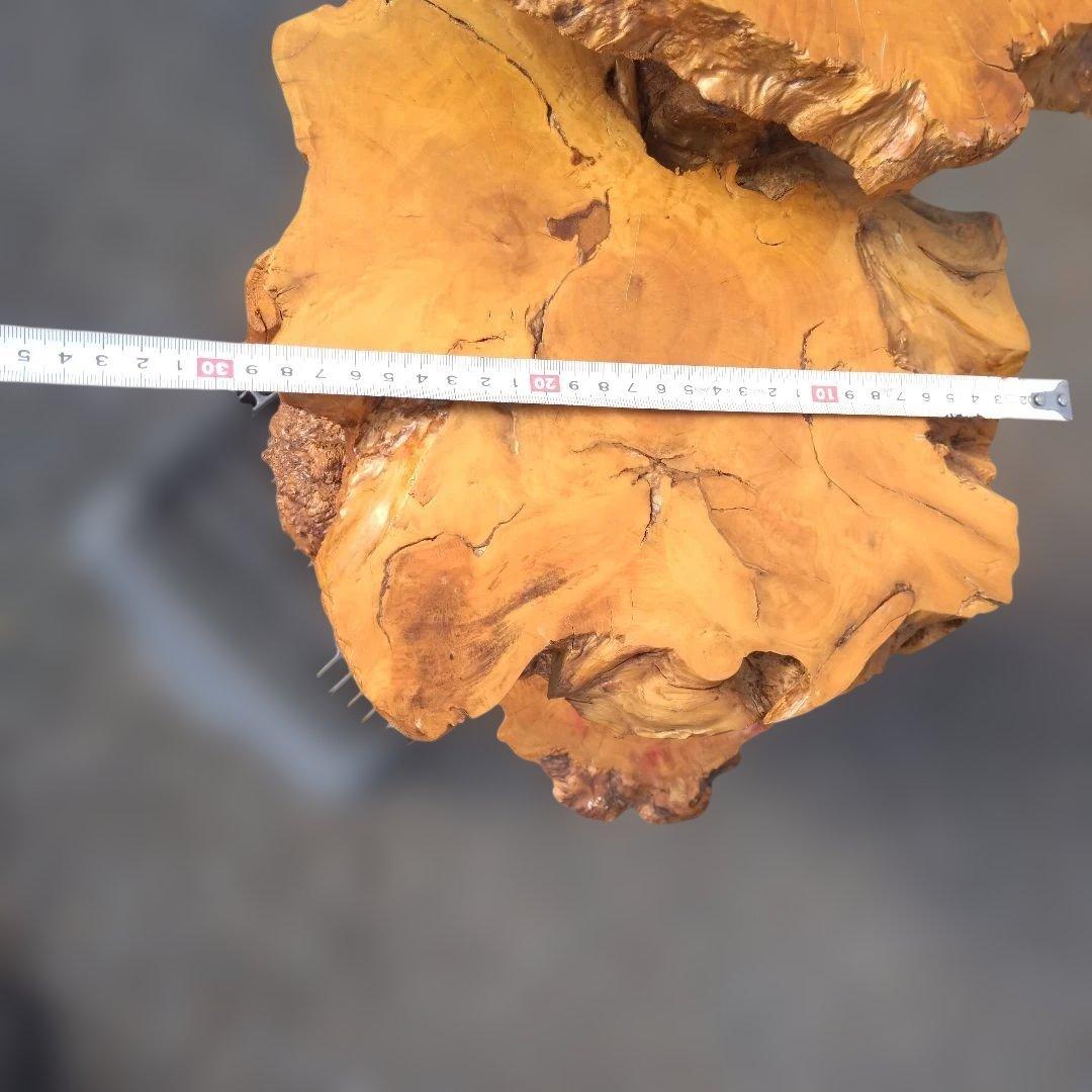 花台、工芸品、置物、自然木、アート、インテリア、展示会、盆栽、盆栽鉢