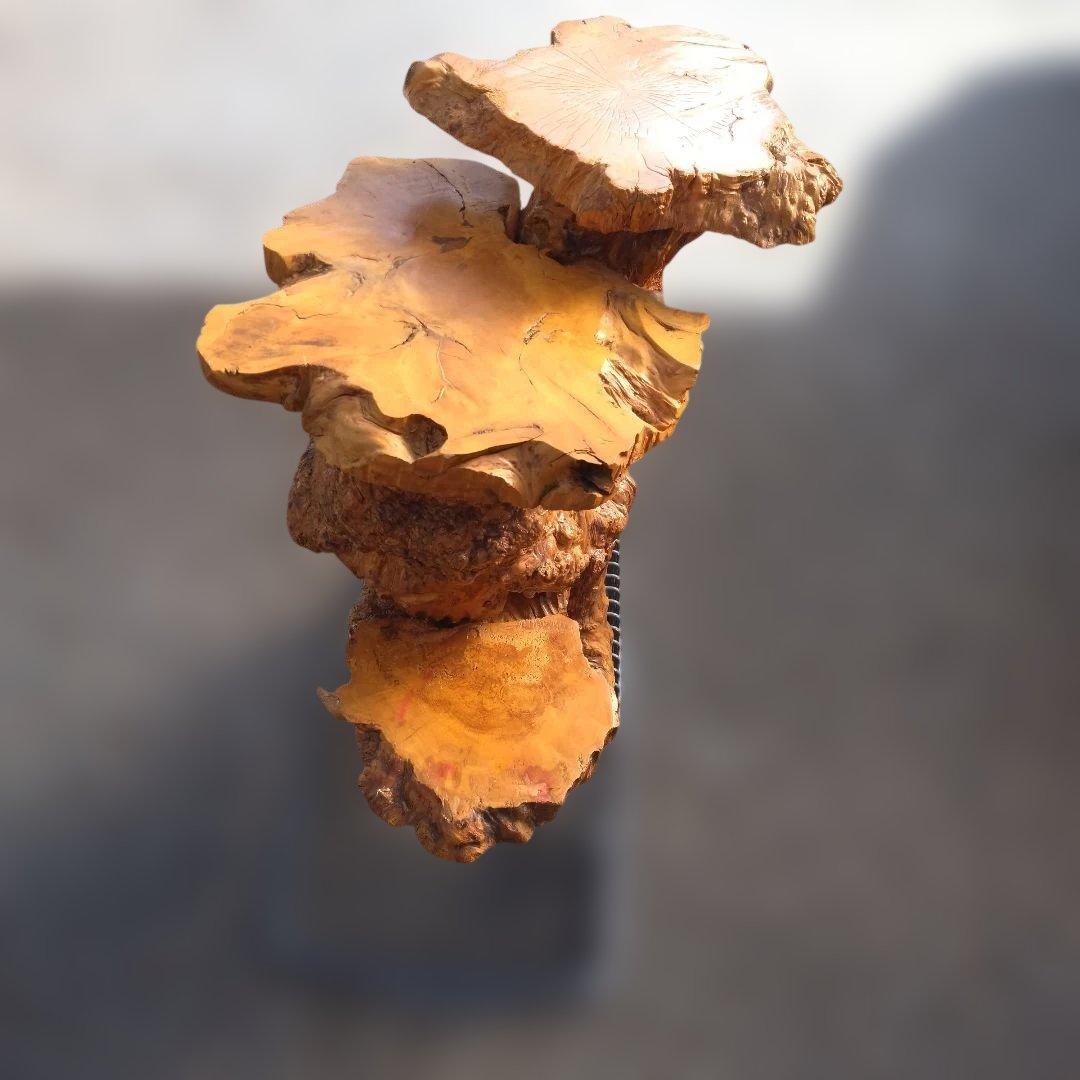 花台、工芸品、置物、自然木、アート、インテリア、展示会、盆栽、盆栽鉢