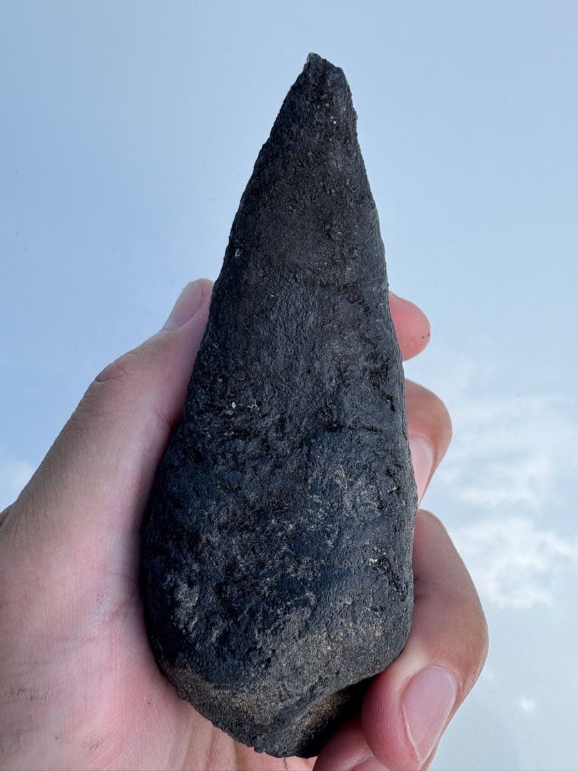 アロサウルス　化石　フットクロウ　恐竜