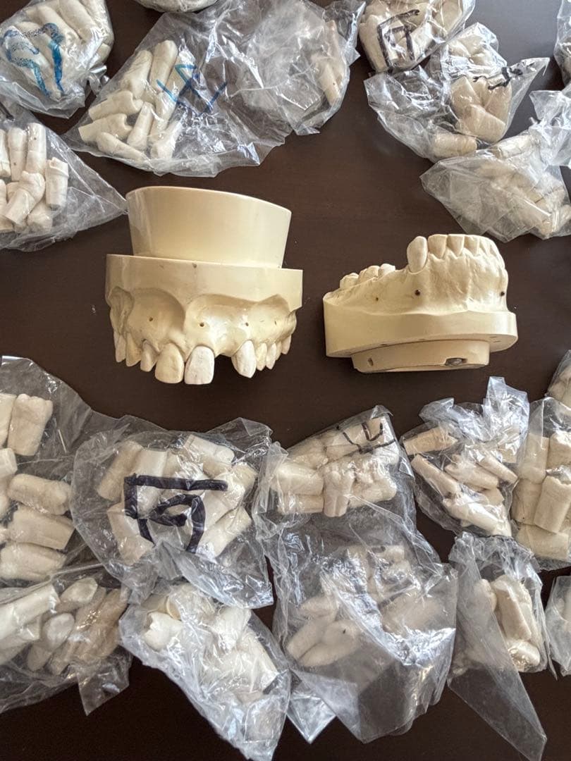 最終価格　歯科　支台歯形成　練習模型　セット