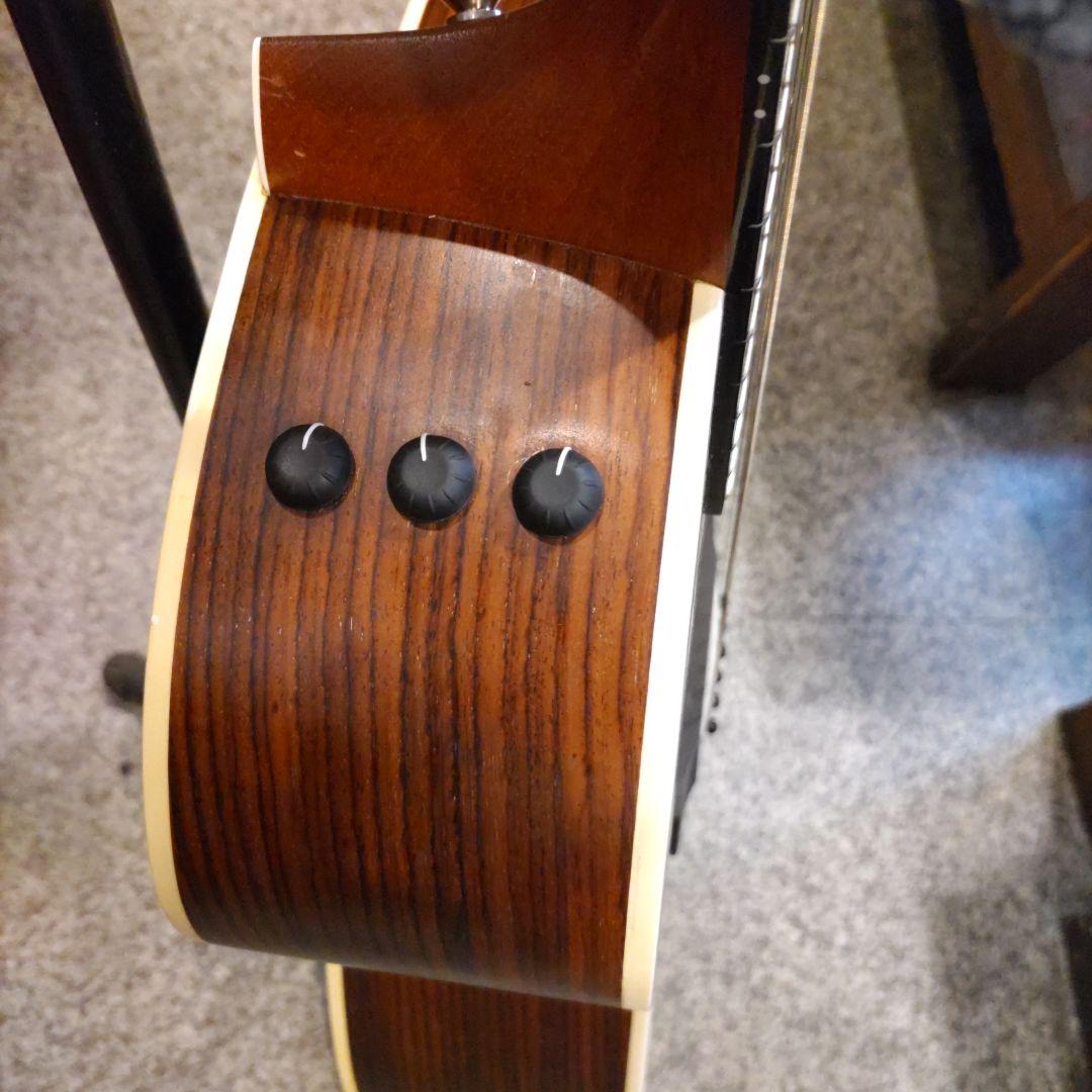 Taylor 214ce エレアコ (管理キテ)