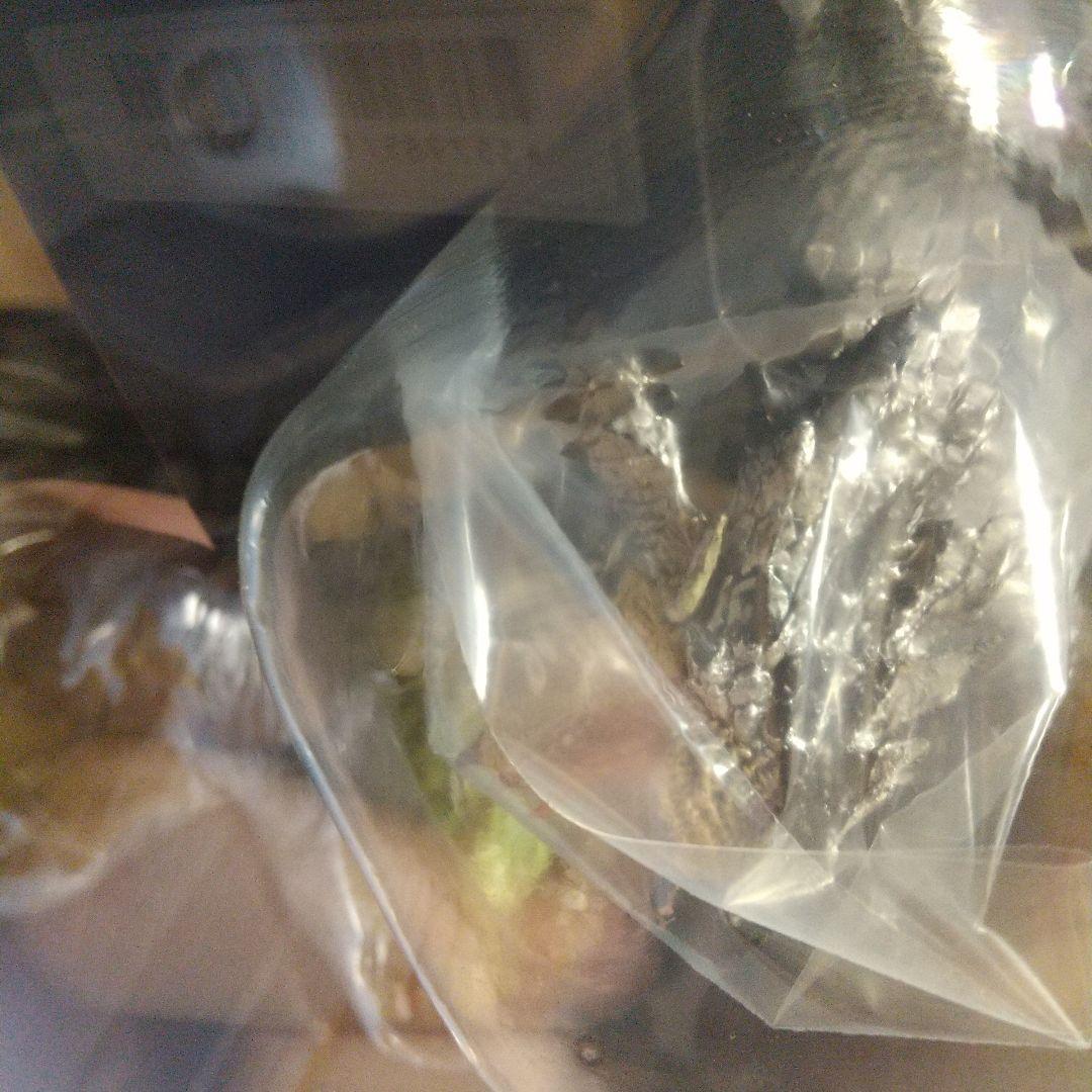 モンスターハンタークリエイターズモデル　カプコン　フィギュア