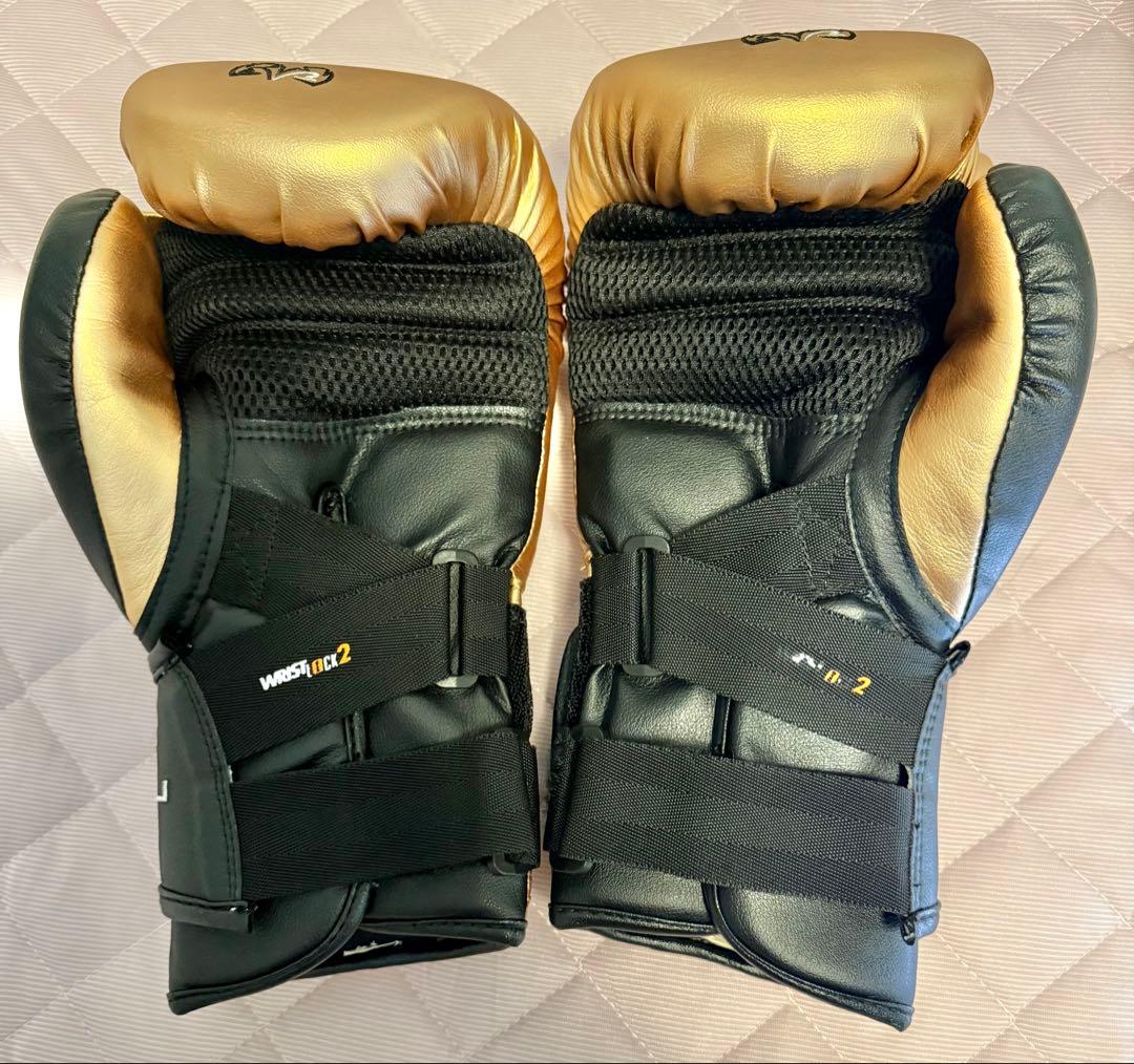 Rival RB11 Lサイズ（12オンス）　バッググローブ ゴールド