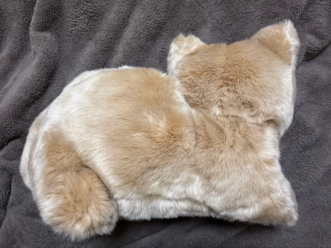 米津玄師　リイシューねこちゃん　Grande Apricot Beige