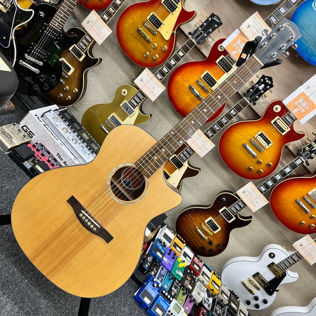 【11512】EASTMAN PCH1-GACE