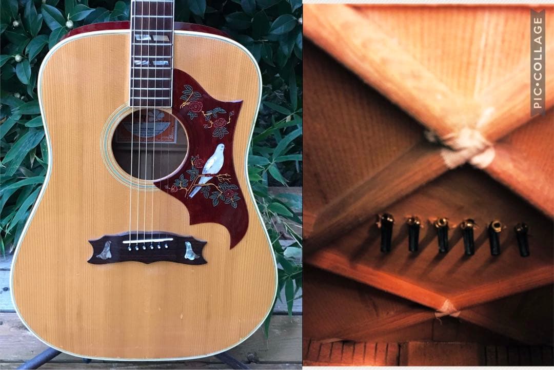 Burny BD-85 DOVE バーニー