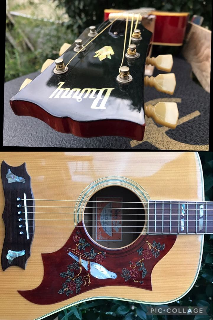 Burny BD-85 DOVE バーニー