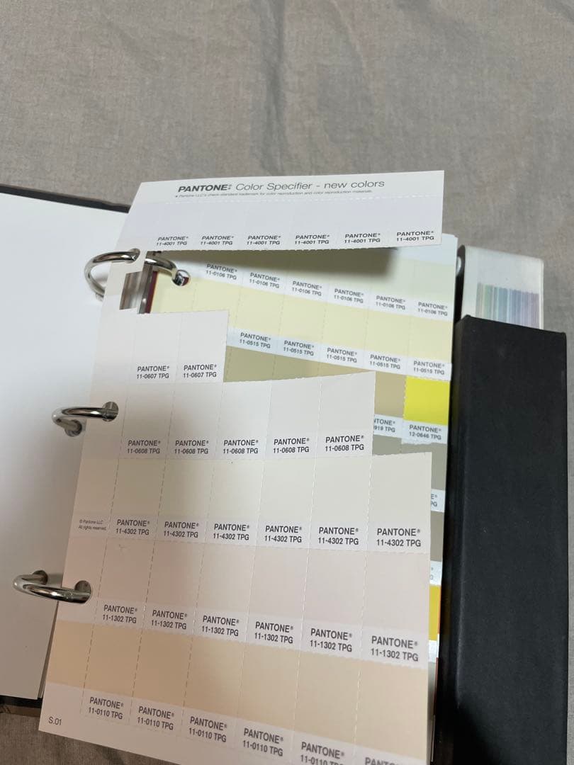 その他 Pantone fashion  interior 1 TPG