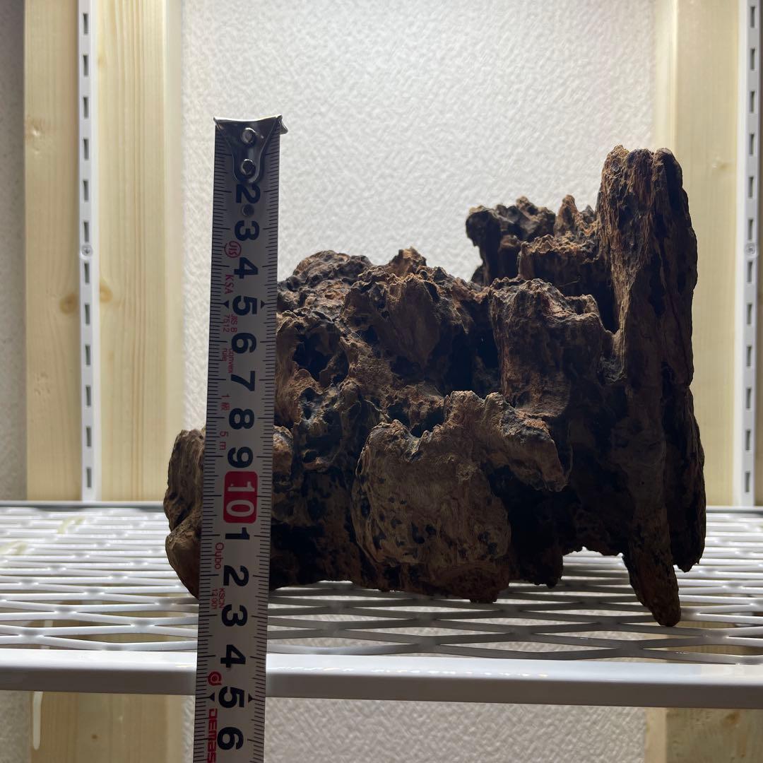 極上　スラウェシウッド　塊状流木　岩石