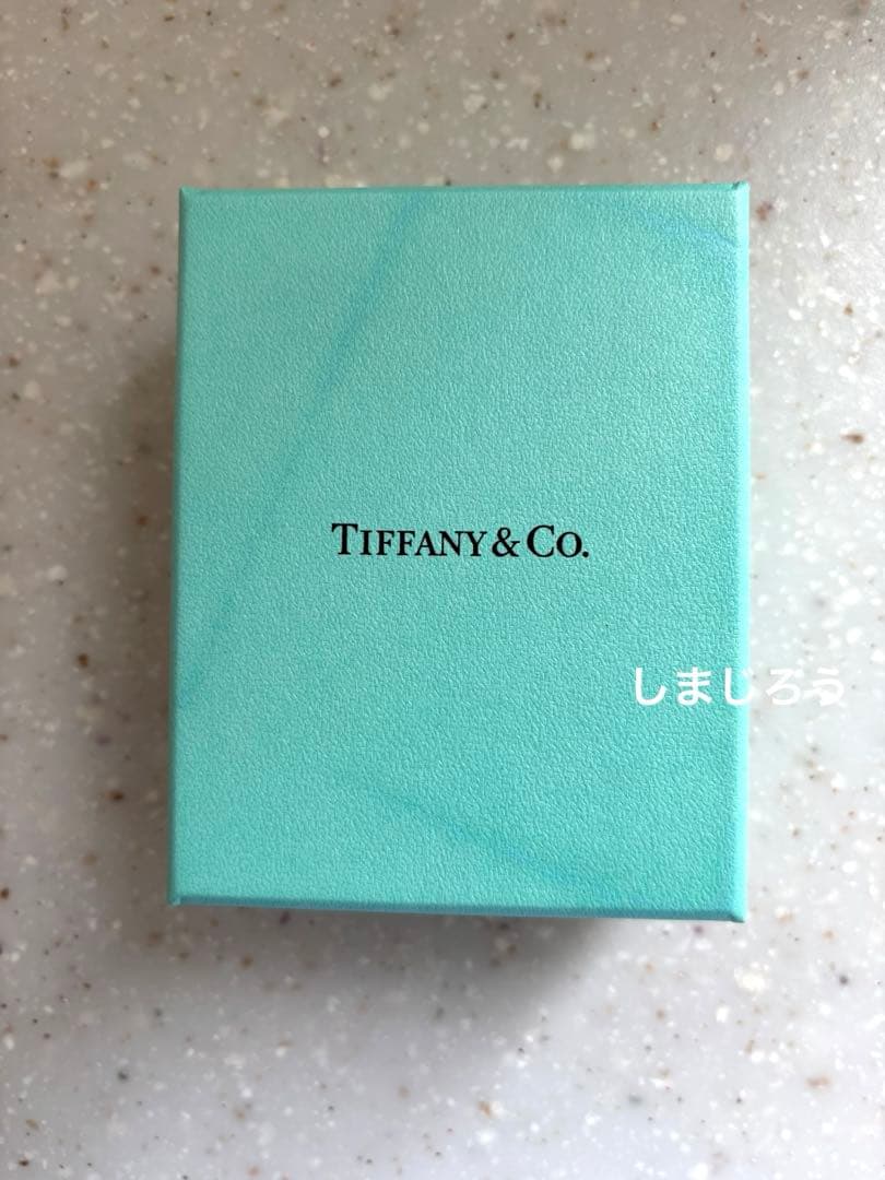 ティファニー　TスマイルTシリーズ　ピアス シルバー　廃盤