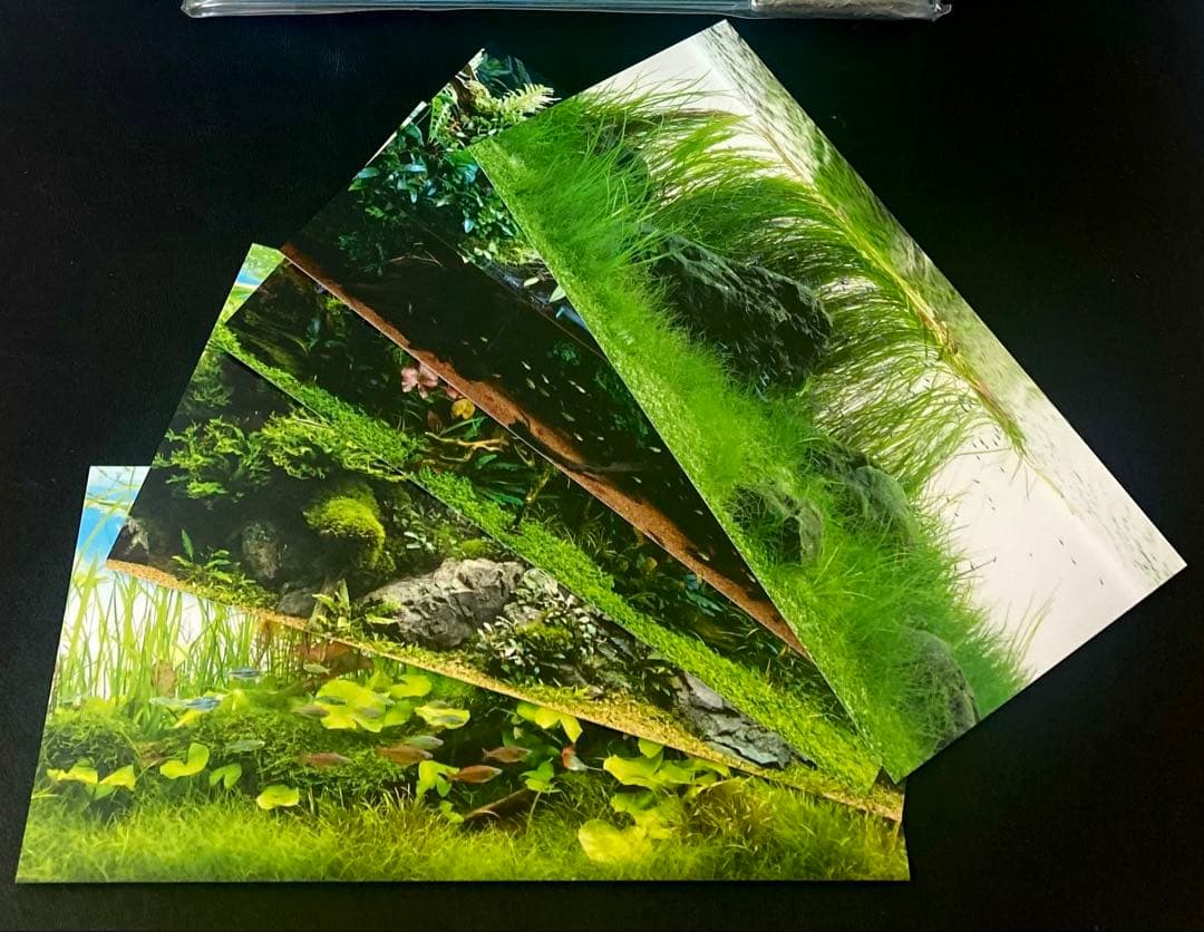 ADA社屋限定販売品＊ADA フォトフレーム　アクアデザインアマノ