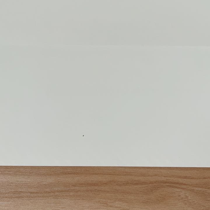 MAN WITH A MISSION マンウィズ 直筆サイン入りチェキ