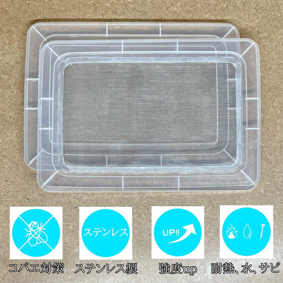 みゅ様　S(フル) (レ)