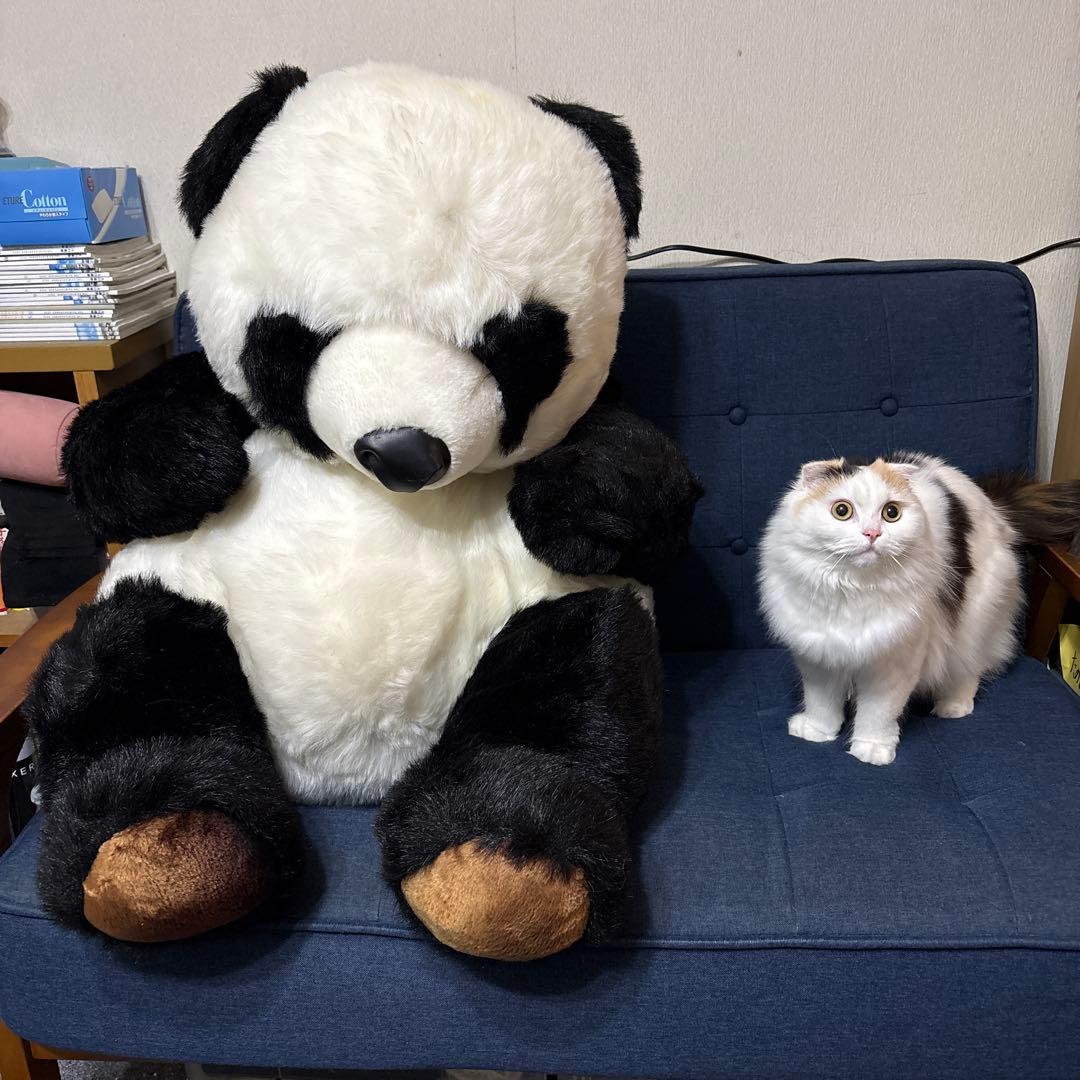 パンダのぬいぐるみ　値下げしました。