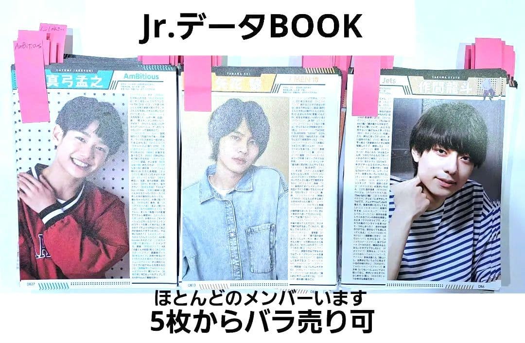 ★Myojo ジャニーズJr. データBOOK バラ売り 各種