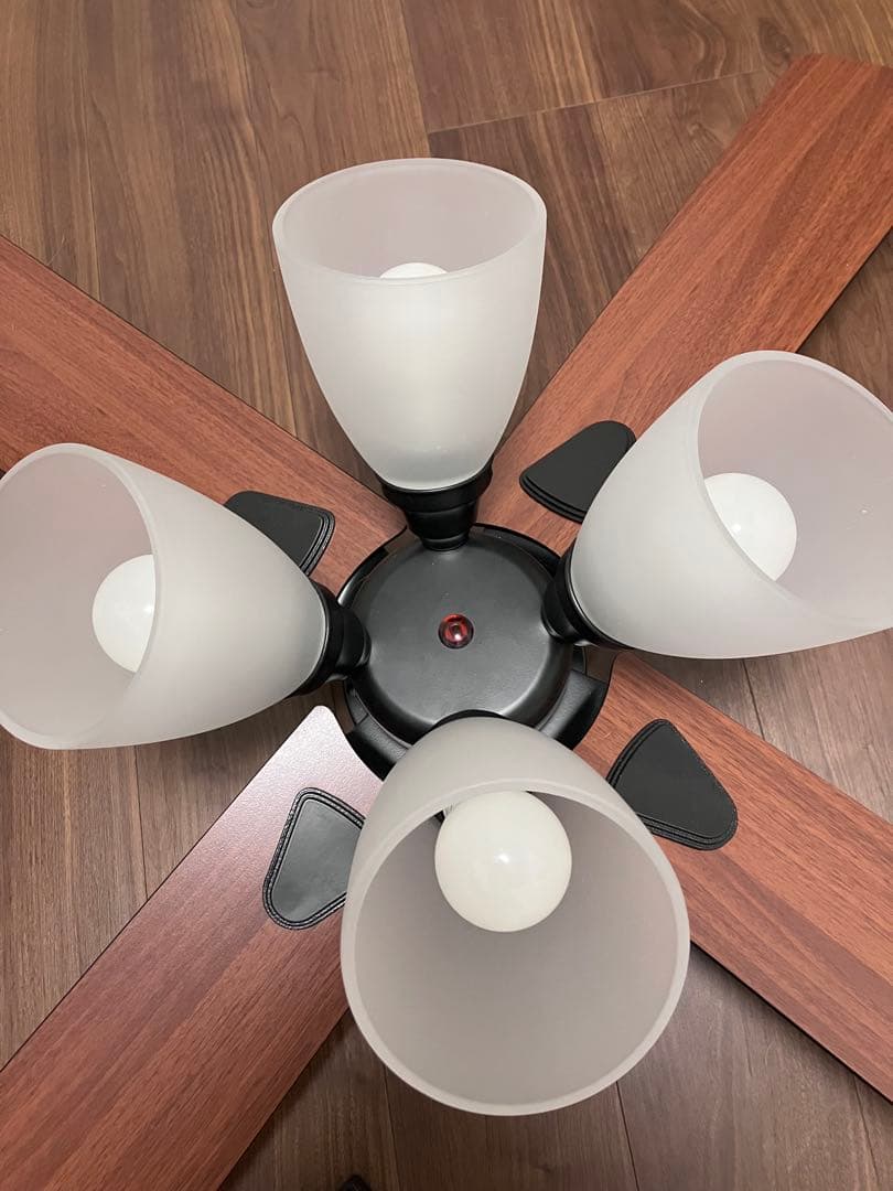 【美品】ラスボルタ シーリングファンライト 4灯 ブラック&ウォルナット 本体