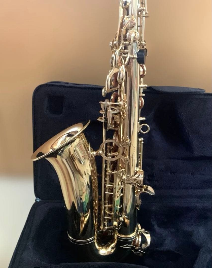 美品★アルトサックス　J.Michael AL-500 お手入れセットケース付き