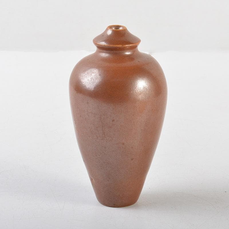 中国　柿釉　小壷　振出壷　C　R6079E