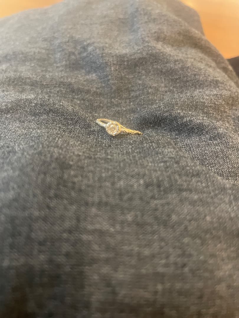 さおり　2点Studio waterfall バーニーズ購入