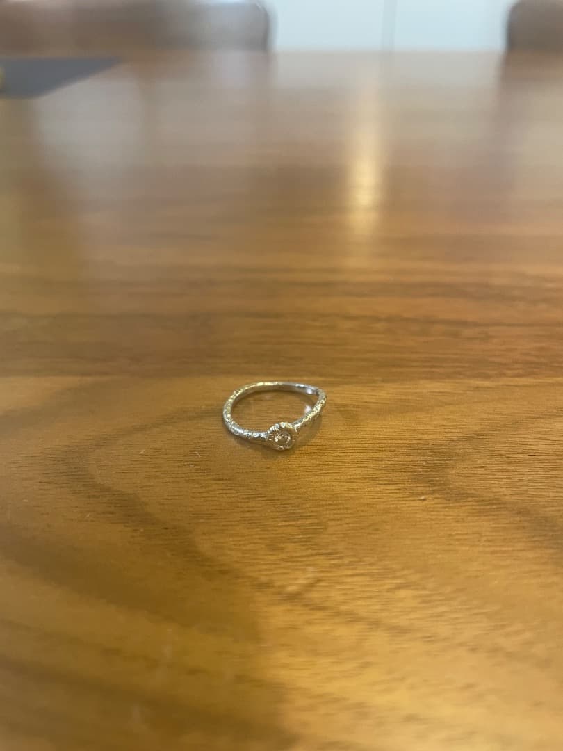 さおり　2点Studio waterfall バーニーズ購入