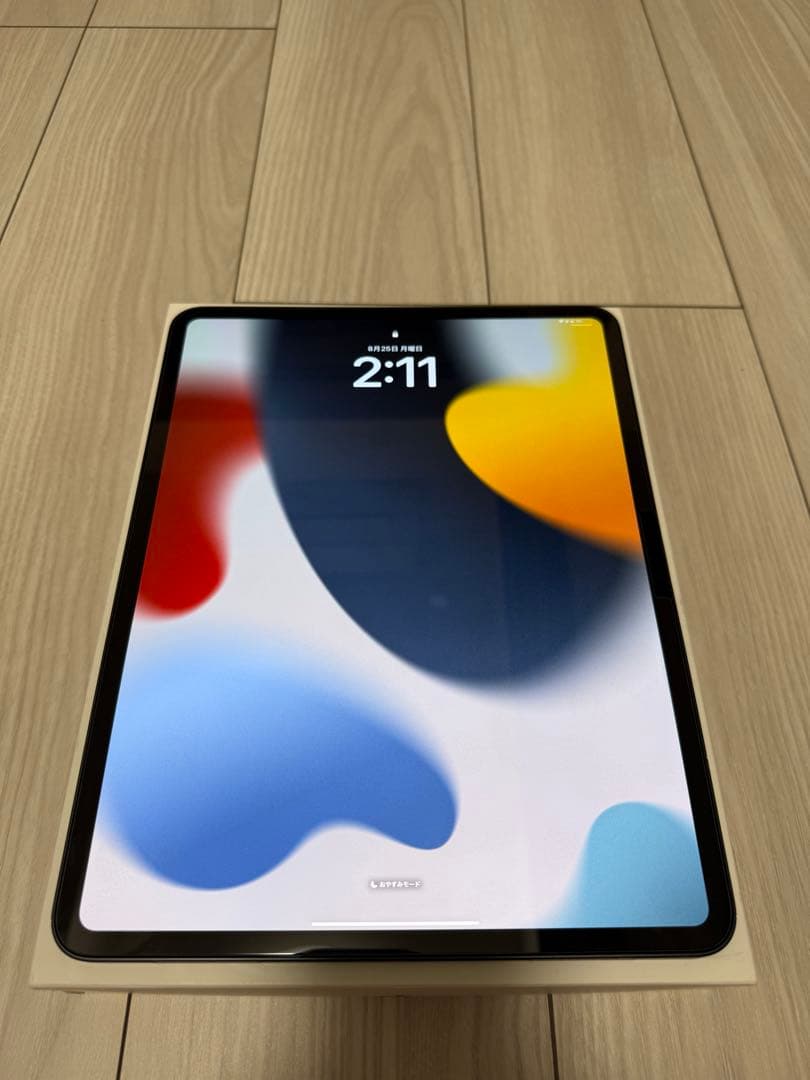 iPad Pro 13インチ M4 Wi-Fi 256GB スペースグレー