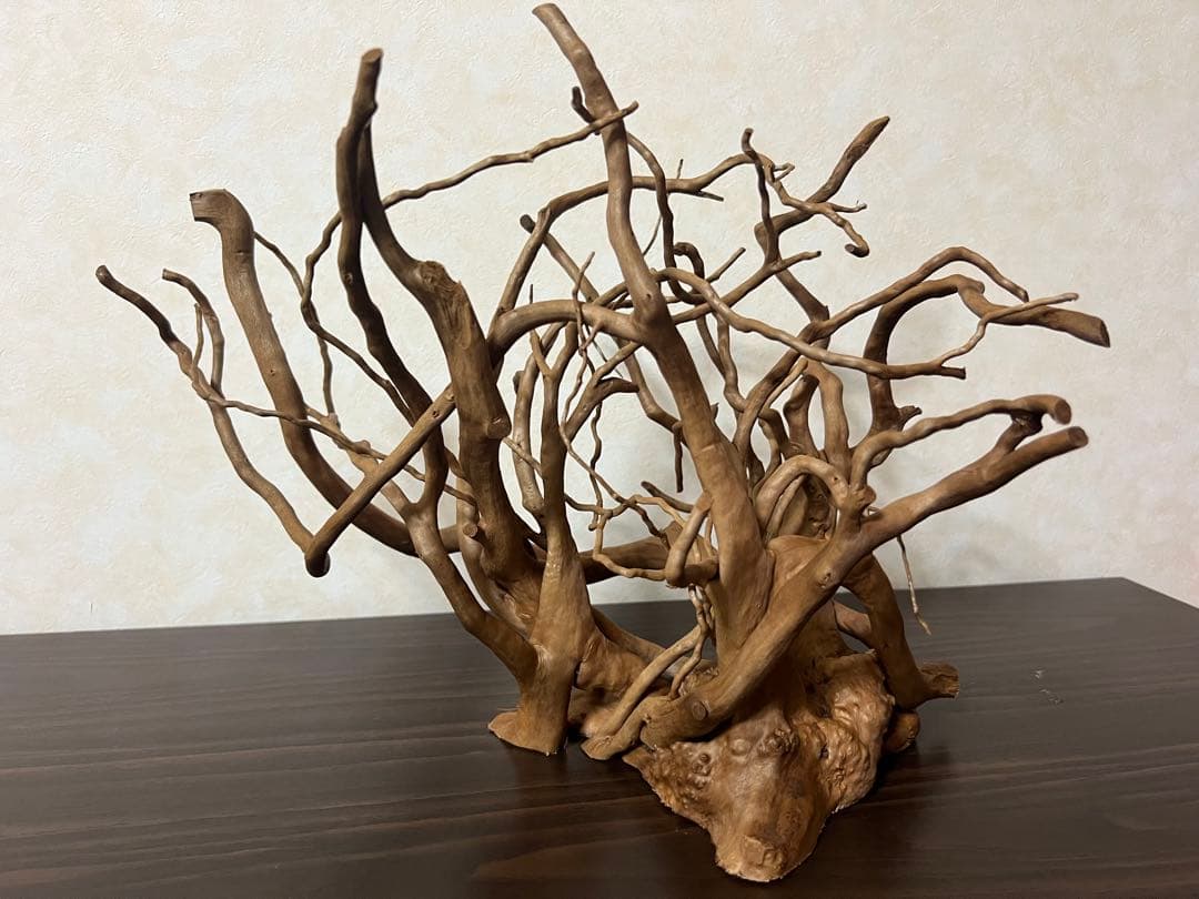 30211 ブランチウッド　流木　アクアリウム　沈水確認済