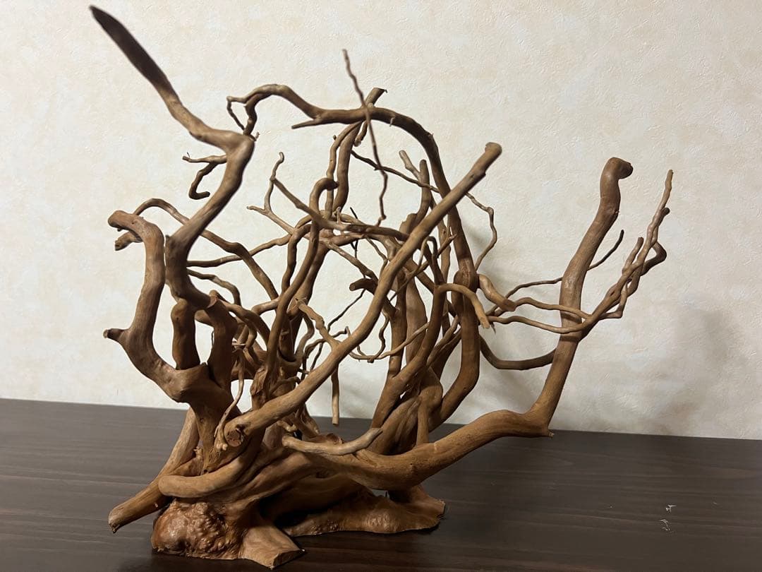 30211 ブランチウッド　流木　アクアリウム　沈水確認済