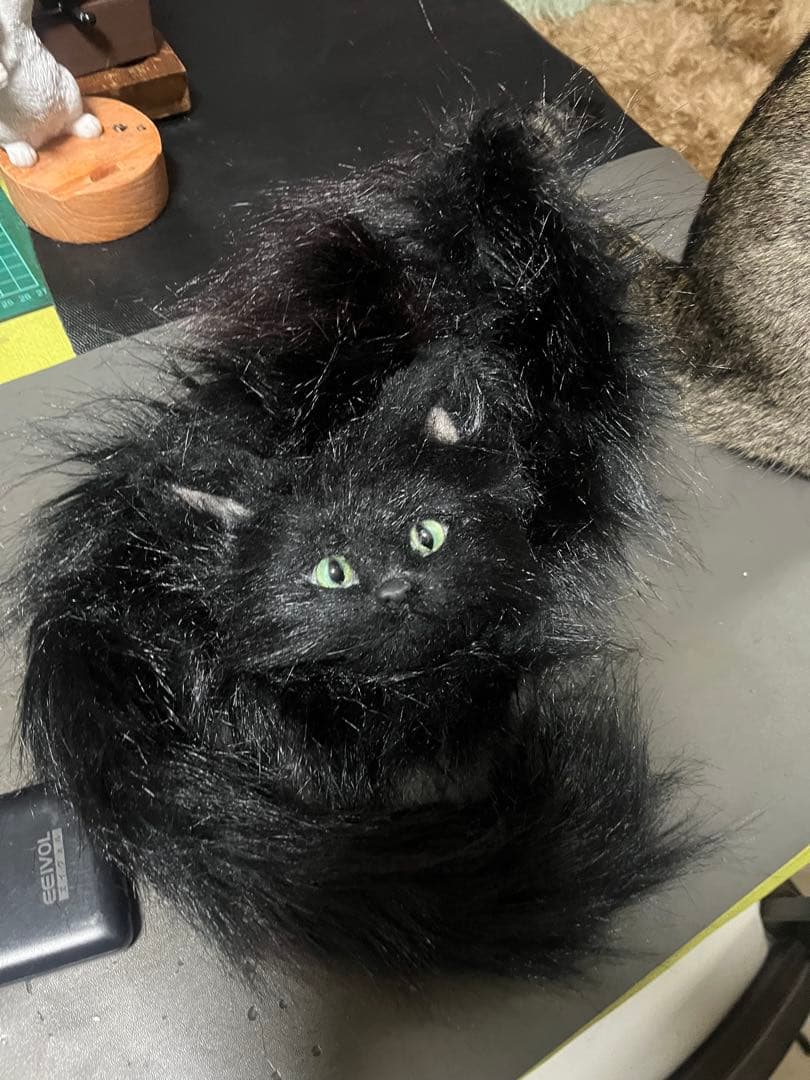 ユ*ロ様 黒猫マフラー フェイクファー