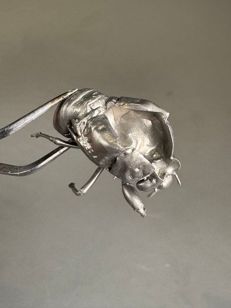 蝉　蝉の抜け殻　セミ　オブジェ　虫好き　金属製　標本