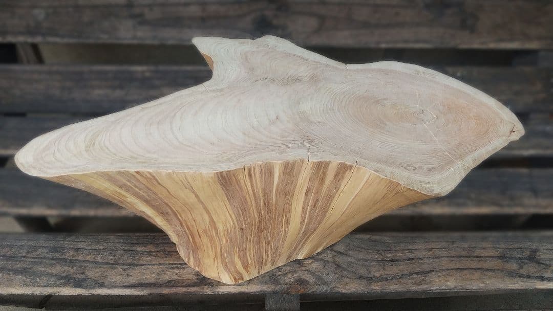 Nebari シリーズ　切り株丸太椅子　特選001