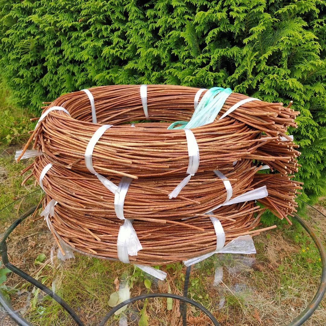 みっくん　青森県岩木山採取　あけび蔓　150cm～　3kg