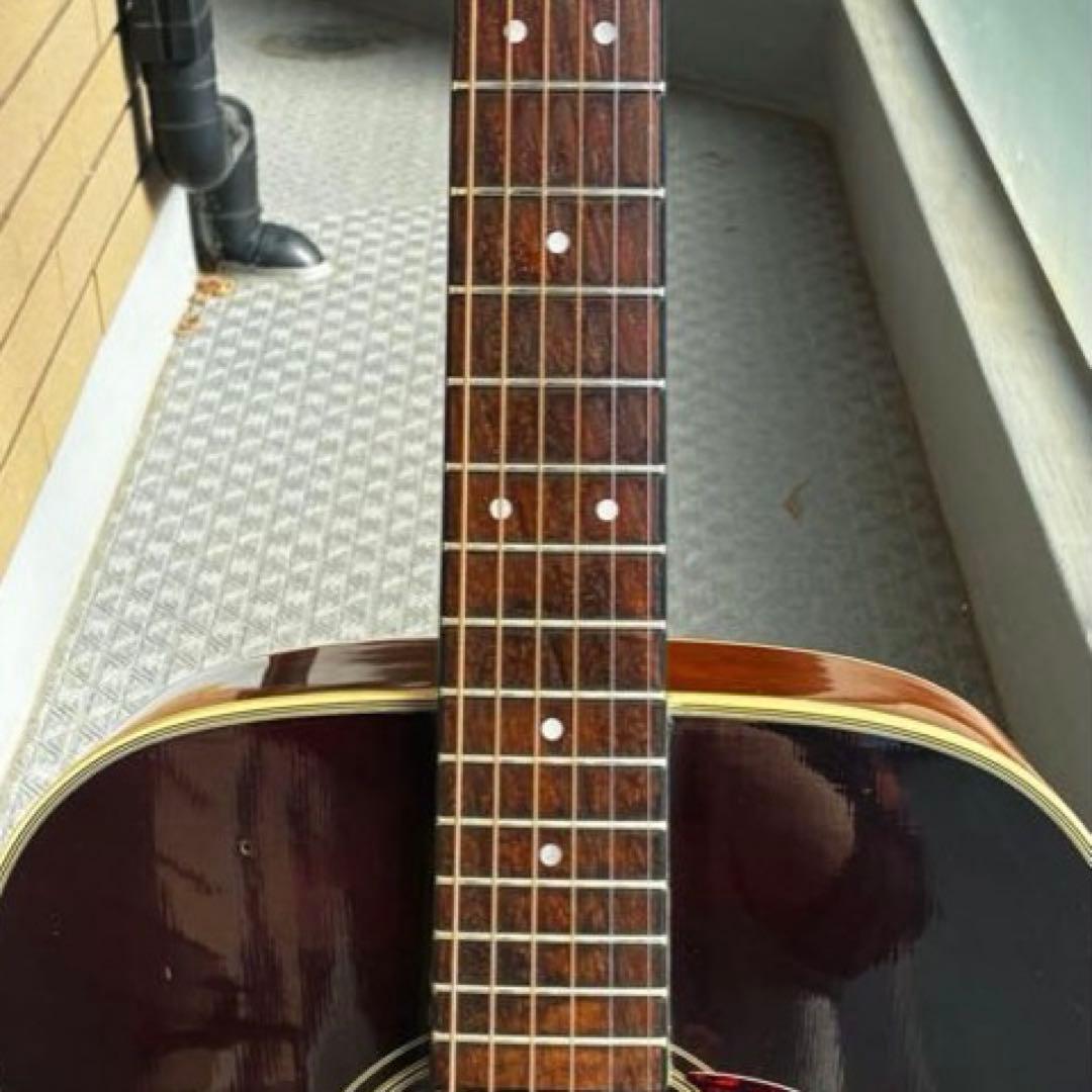 メダカちゃんページ【弦新品】Morris アコギ 初心者向け