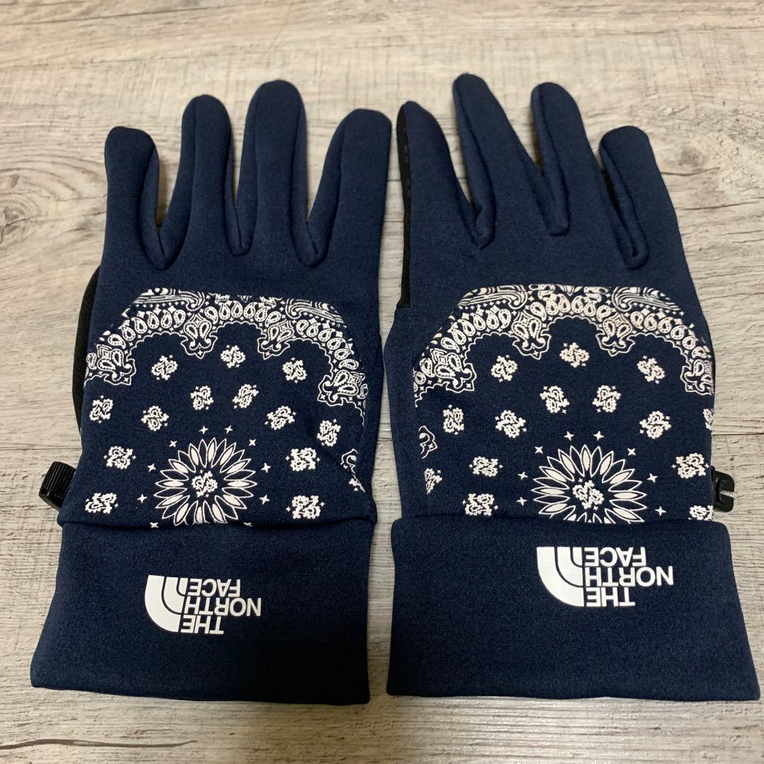 supreme THE NORTH FACE 手袋L