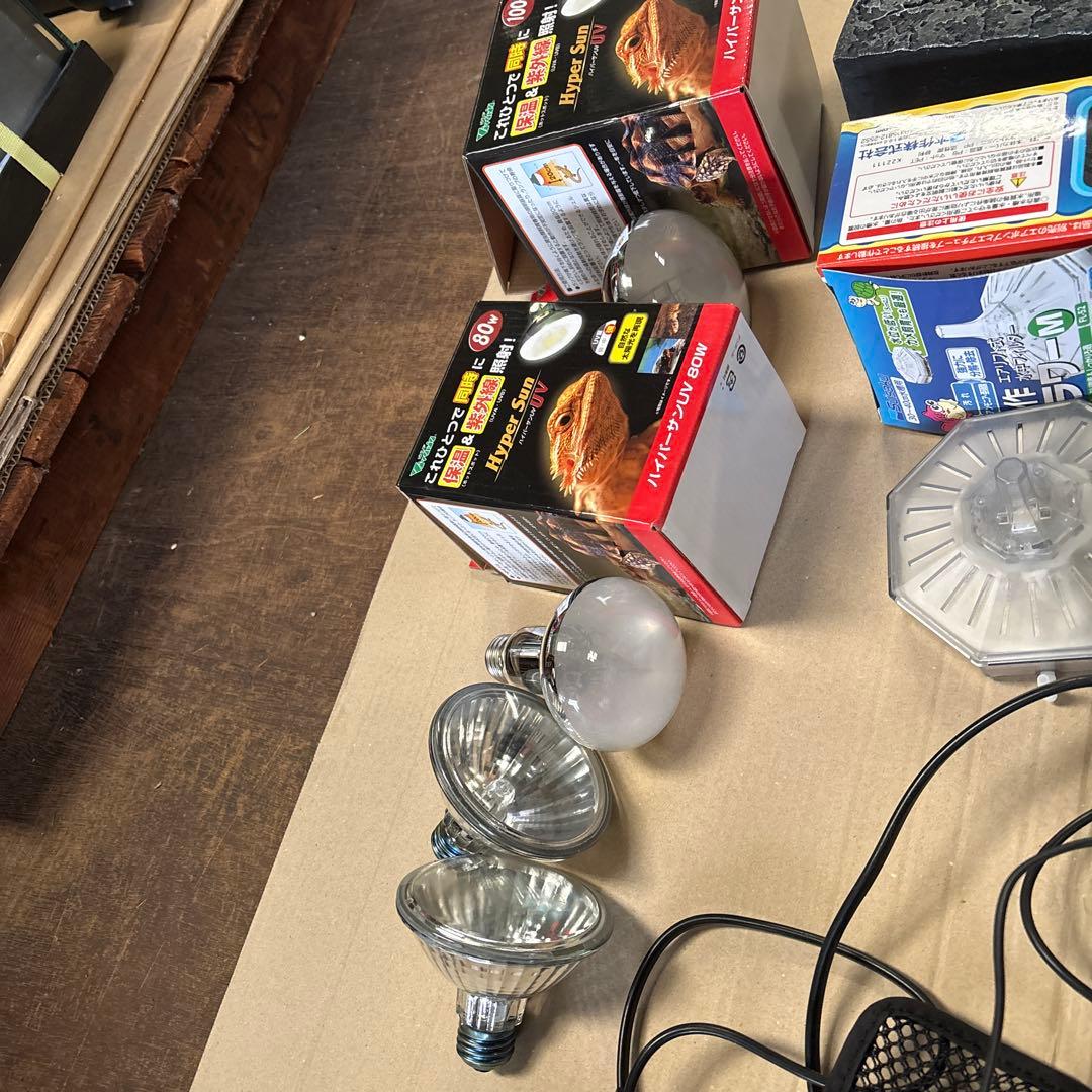 爬虫類用　用品まとめ売り