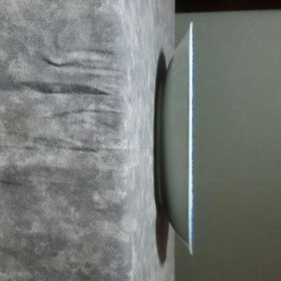 雲竜文 染め付け 皿 磁器 焼物