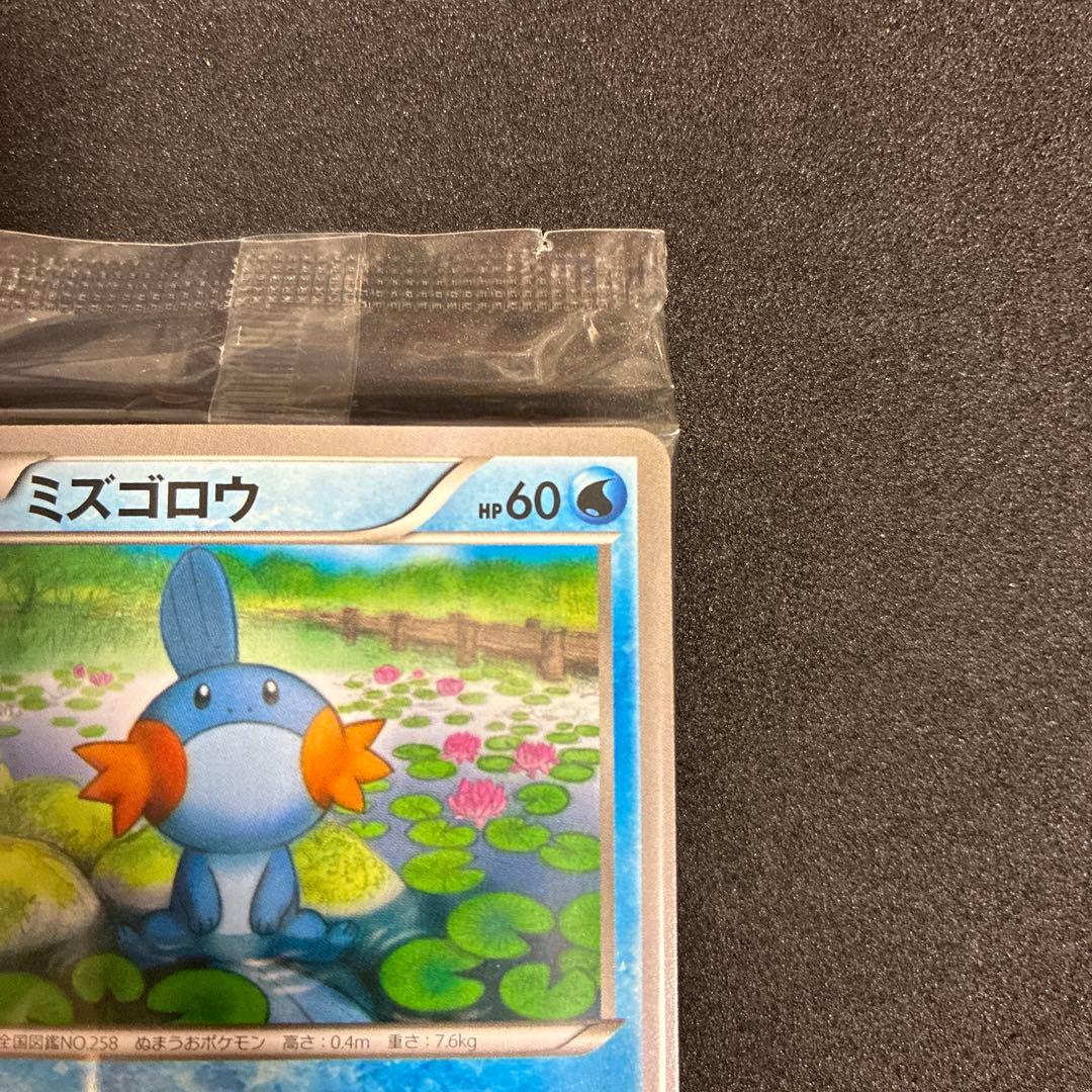 ポケモンカード ミズゴロウ プロモ 109/XY-P 2015 未開封 コンビニ